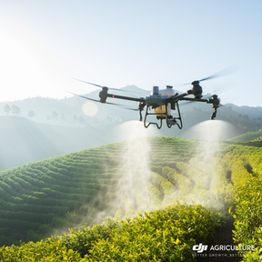 DJI Agras T50 sprühen Hanglage