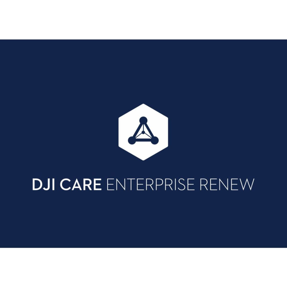 DJI Care Enterprise Basic Renew (M30T)